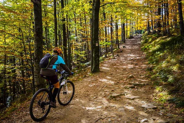 Mujer Ciclista Montando Bicicleta Las Montañas Verano Paisaje Forestal Pista —  Fotos de Stock