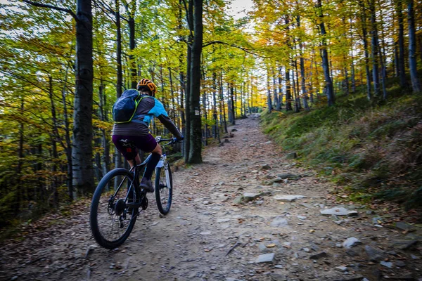 Велосипедна Жінка Катається Велосипеді Літніх Горах Лісового Пейзажу Жінка Їде — стокове фото