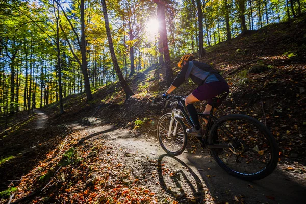 Femme Cycliste Vélo Dans Les Montagnes Été Paysage Forestier Femme — Photo