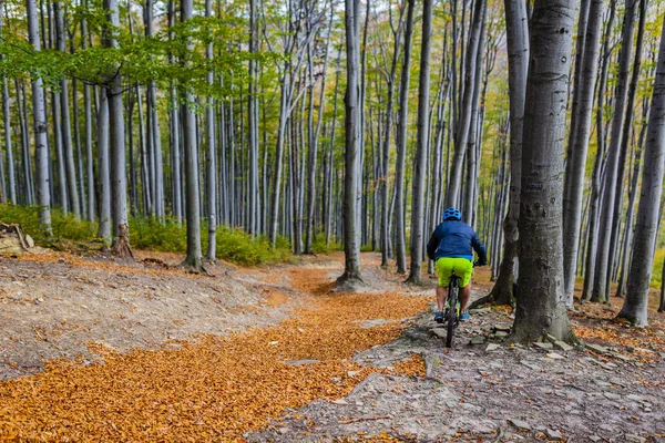 Jazda Rowerze Jesień Krajobraz Las Góry Kolarz Górski Człowiek Rowerze — Zdjęcie stockowe
