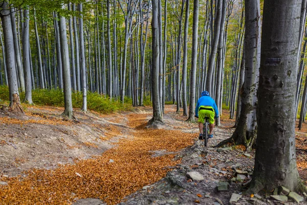 山のバイカーは 秋山森林景観のサイクリングします サイクリング Mtb 流トレイル トラックを男します アウトドア スポーツ活動 — ストック写真