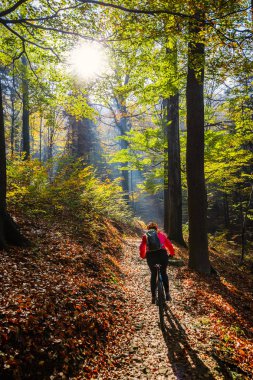 Bisiklete binme, dağ bikeing kadın sonbahar ormandaki döngüsü izinde. Dağ bisikleti sonbahar manzara orman içinde. Kadın Mtb akışı yokuş yukarı iz Bisiklet.