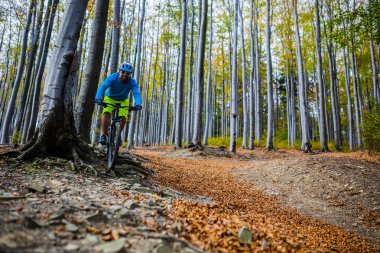 Sonbahar dağ orman manzara içinde Bisiklete binme Mountainbiker. Adam Bisiklete binme Mtb akışı iz parça. Açık spor aktivitesi.