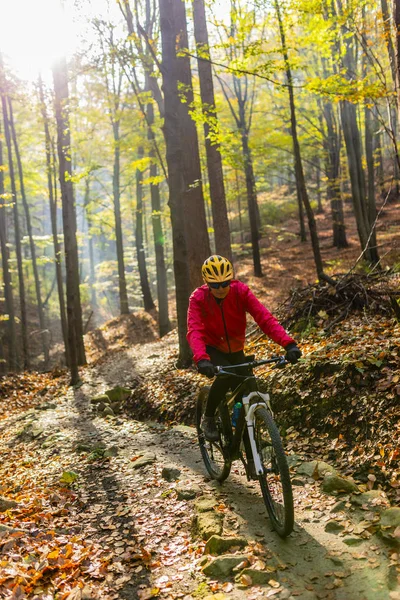 サイクリング 秋の森のサイクル道で山職女 秋の風景森で自転車に乗る山 女性のサイクリング Mtb 流れの上り坂道 — ストック写真
