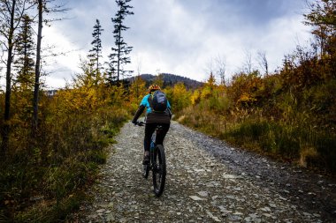 Dağ bisikleti kadın sonbahar dağ orman manzara üzerinde bisiklete binmek. Kadın Bisiklet Mtb akışı iz parça. Açık spor aktivitesi.