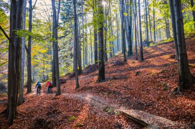 Kadın ve adam Beskidy mountains sonbahar orman manzara, Bisiklete binme. MTB enduro sürme çift izlemek. Açık spor aktivitesi.