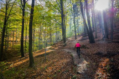 Bisiklete binme, dağ bikeing kadın sonbahar ormandaki döngüsü izinde. Dağ bisikleti sonbahar manzara orman içinde. Kadın Mtb akışı yokuş yukarı iz Bisiklet.