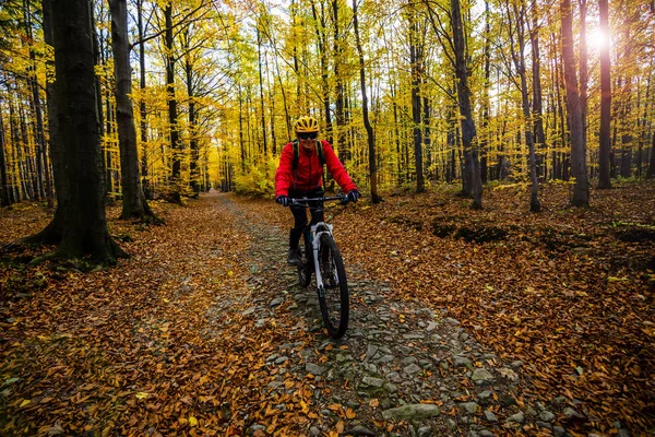 Bicicleta Montaña Mujer Montar Bicicleta Otoño Montañas Bosque Paisaje Pista — Foto de Stock
