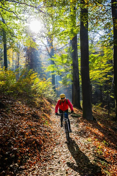 Fietsen Mountain Bikeing Vrouw Fietsweg Herfst Bos Mountainbiken Herfst Landschap — Stockfoto