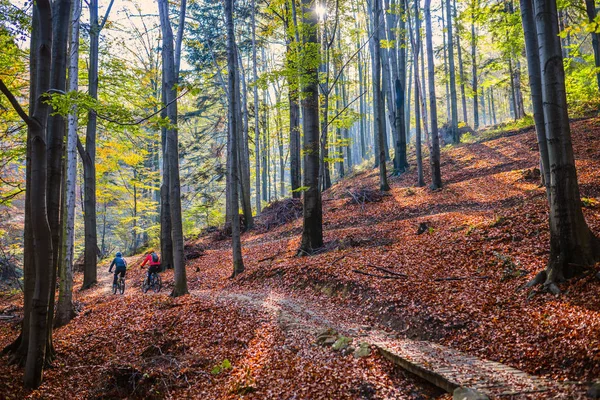 骑自行车的妇女和男子在贝斯基蒂山区秋天森林景观 Mtb 内室赛道的夫妇 户外运动活动 — 图库照片