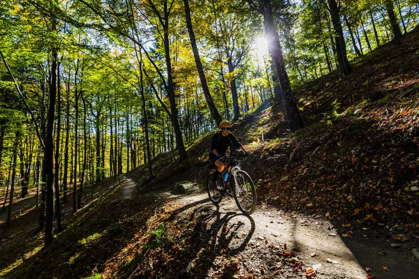 Femme Cycliste Vélo Dans Les Montagnes Été Paysage Forestier Femme — Photo