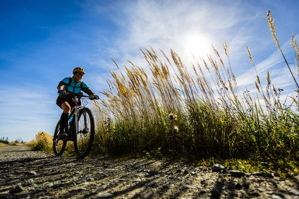 사이클링가 사이클 트레일에 Bikeing 자전거가 숲에서 자전거 Mtb 오르막 — 스톡 사진