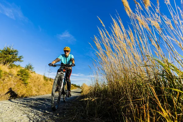 Mujer Ciclista Montando Bicicleta Otoño Montañas Bosque Paisaje Pista Senderos —  Fotos de Stock