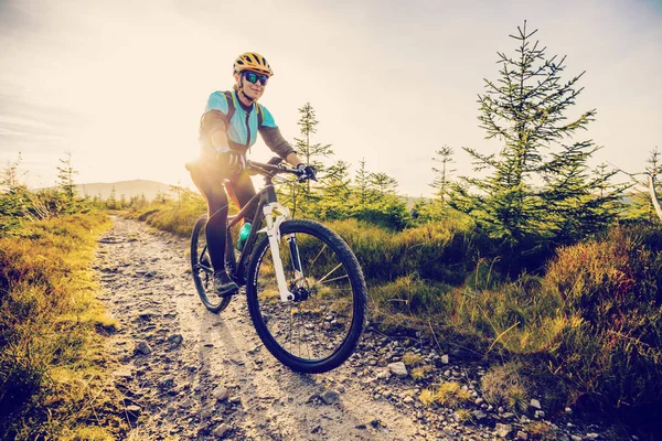 Cykling Kvinna Rida Cykel Höst Berg Skogslandskap Kvinna Cykling Mtb — Stockfoto