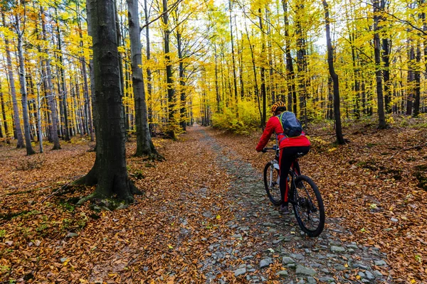 Mountain biking woman riding on bike in autumn mountains forest landscape. Woman cycling MTB flow trail track. Outdoor sport activity.