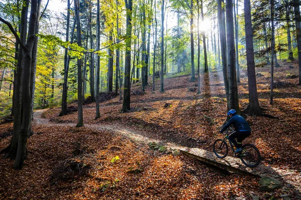 Mountain Biker Cycling Autumn Mountains Forest Landscape Man Cycling Mtb — Stock Photo, Image
