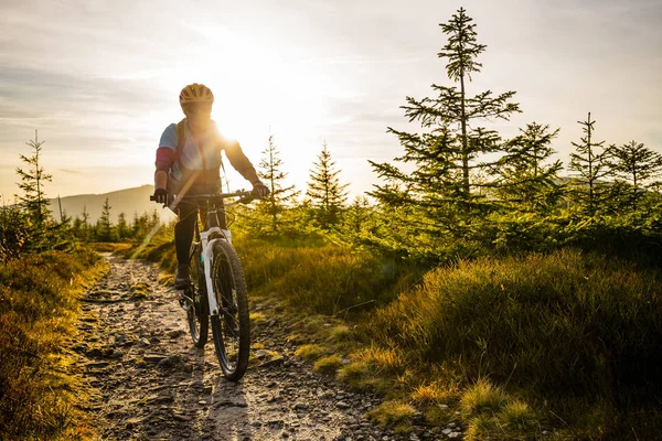 秋の山の森の風景の中で自転車に乗るサイクリング女性 女性サイクリングMtbフロートレイルトラック アウトドアスポーツ活動 — ストック写真