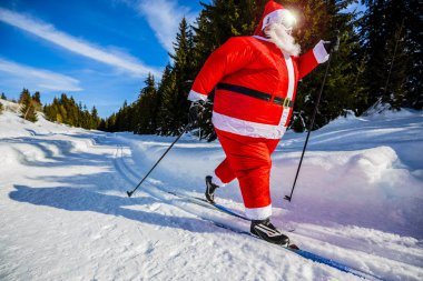 Fat Santa Claus with Christmas suits with classic  nordic ski in snowy winter mountain ski resort landscape in sunny day, New Year's or xmas is coming. clipart