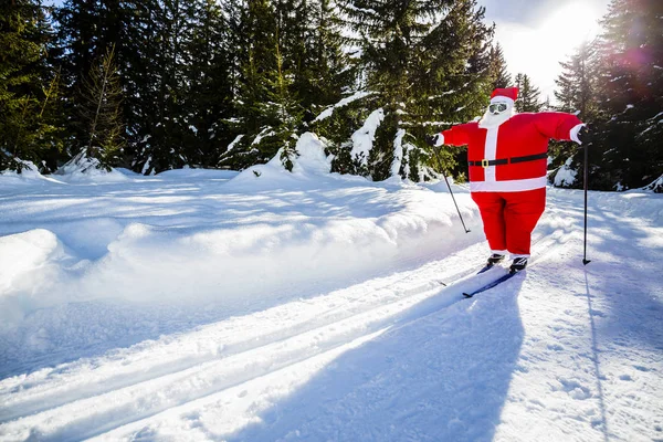 Fette Weihnachtsmänner Mit Weihnachtsanzügen Mit Klassischem Langlauf Verschneiter Winter Skigebietslandschaft — Stockfoto