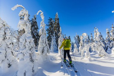 Beskidy dağlarında kayak. Kayakçı adam, taze toz karda taşrada kayak yapıyor.