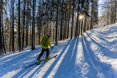 Beskidy dağlarında kayak. Kayakçı adam, taze toz karda taşrada kayak yapıyor.