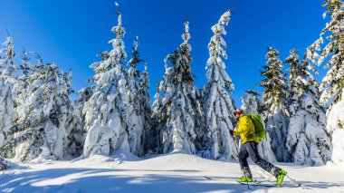 Beskidy dağlarında kayak. Kayakçı adam, taze toz karda taşrada kayak yapıyor.