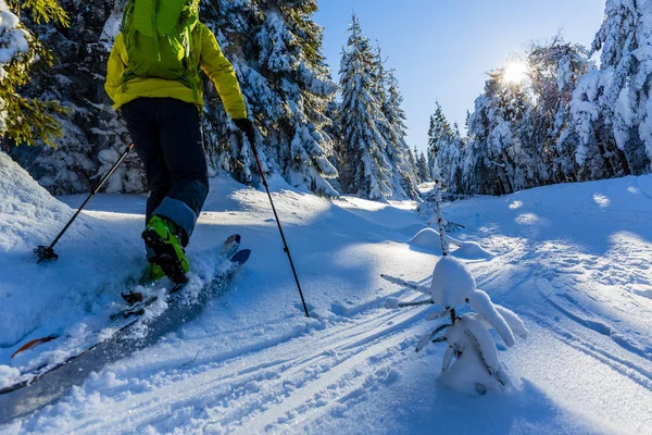 Ski Beskidy Mountains Den Skynder Mannen Backcountry Skidåkning Färskt Pudersnö — Stockfoto