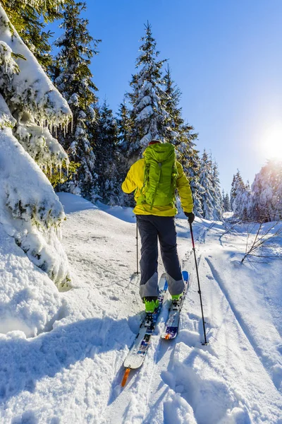 Skifahren Den Bergen Der Skitourengeher Backcountry Skifahren Frischen Pulverschnee — Stockfoto