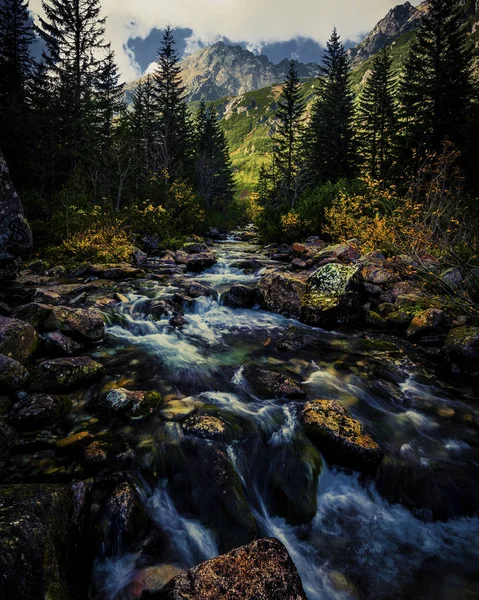Água Branca Roztoka Stream Roztoka Valley Tatra National Park High — Fotografia de Stock