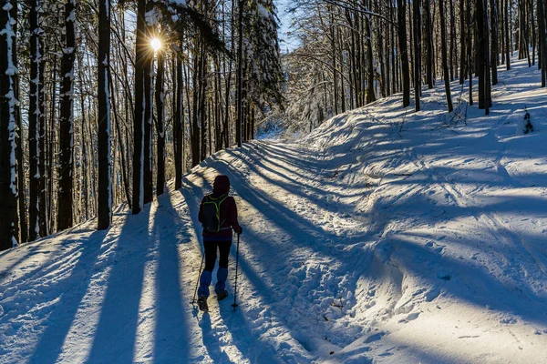 Kobiety Trekking Podróżny Plecak Piesze Wycieczki Góry Beskidy Słoneczny Dzień — Zdjęcie stockowe