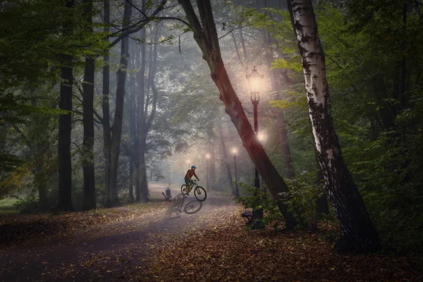 Andar de bicicleta em trilha de brilho dourado cena nebulosa no parque, homem montado — Fotografia de Stock