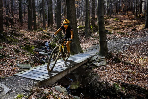 Bicicleta de montaña mujer montar en bicicleta en el bosque de verano montañas — Foto de Stock