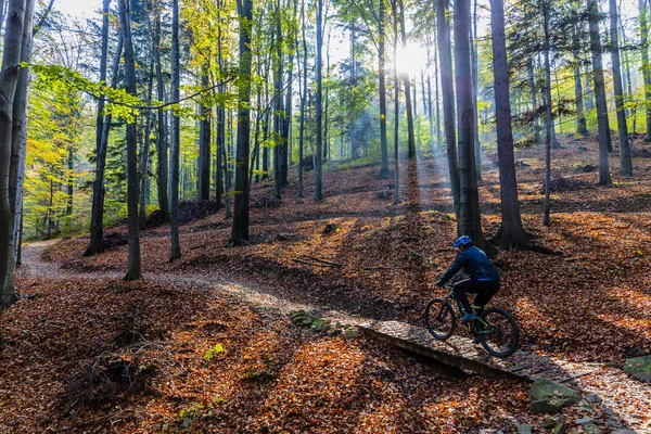 Mountain biker cycling in autumn mountains forest landscape. Man — Stock Photo, Image