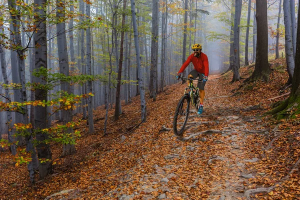 Ciclismo mann andar de bicicleta no pôr-do-sol montanhas floresta — Fotografia de Stock