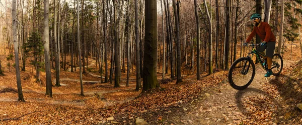 Nő és férfi lovaglás kerékpárok: forest sunset hegyek kerékpározás — Stock Fotó