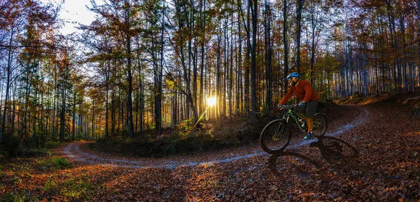 Mountainbiker cykling i sommer bjerge skov landskab - Stock-foto