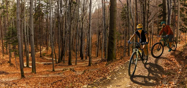 夕日山森林景観でバイクに乗って男をサイクリングします Mtb エンデューロ流サイクリング カップルを追跡します アウトドア スポーツ活動 — ストック写真