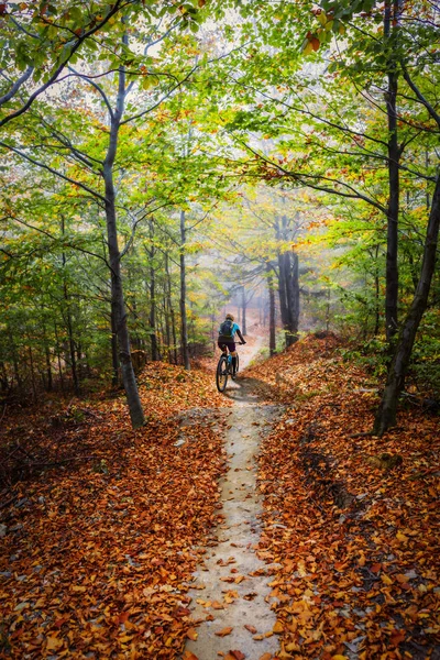 VTT femme à vélo dans la forêt de montagne d'été — Photo