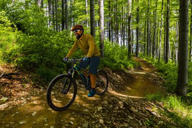 Bahar dağlar orman landsca içinde Bisiklete binmek üzerinde Mountainbiker