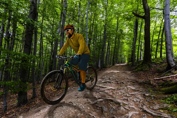 Mountain biker riding on bike in spring mountains forest landsca — Stock Photo, Image