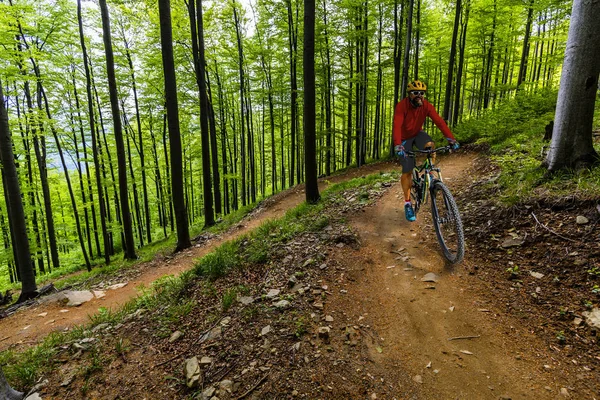 Kerékpározás ember lovaglás kerékpár: naplemente hegység erdős táj. — Stock Fotó