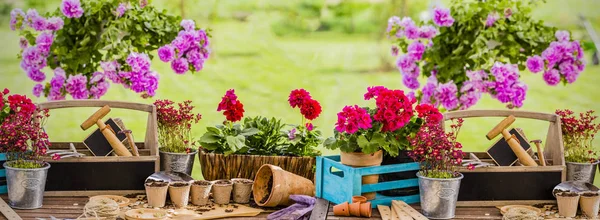 Attrezzi da giardino terrazza sfondo, attrezzatura giardiniere su de legno — Foto Stock