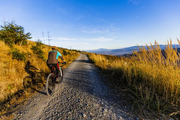 夏の山の森で自転車に乗って山自転車に乗る女性 — ストック写真