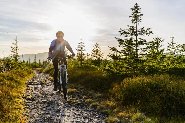 Mountain biking woman riding on bike in summer mountains forest
