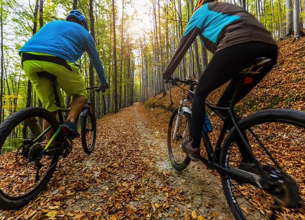 Ciclismo, casal de ciclistas de montanha em trilha de bicicleta na floresta de outono . — Fotografia de Stock