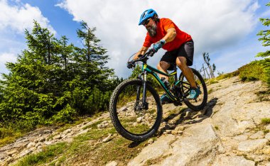 Yaz dağlar orman landsca içinde Bisiklete binmek üzerinde Mountainbiker