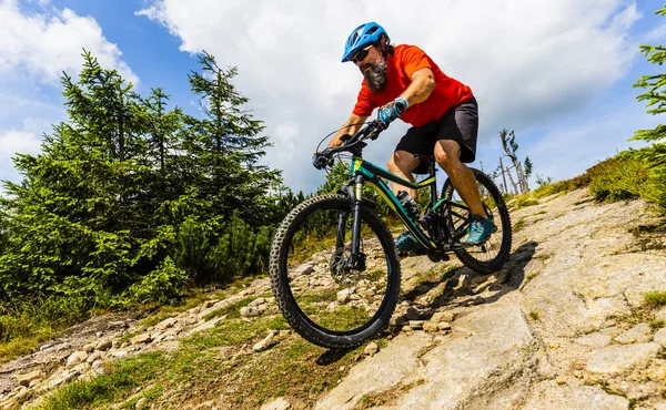 Ciclista de montaña montando en bicicleta en verano montañas bosque landsca — Foto de Stock