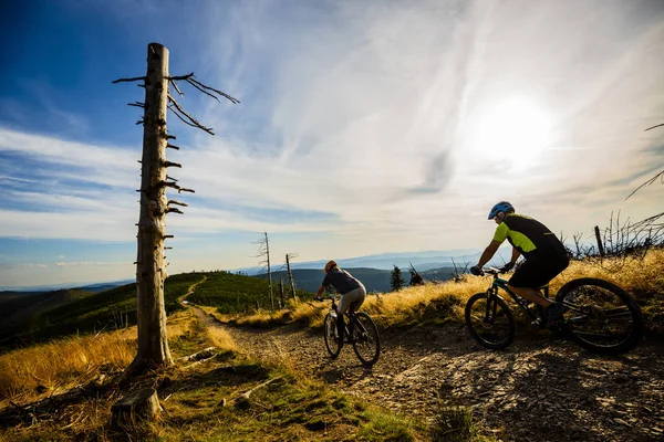 Cycling woman and men riding on bikes at sunset mountains forest — Stock Photo, Image