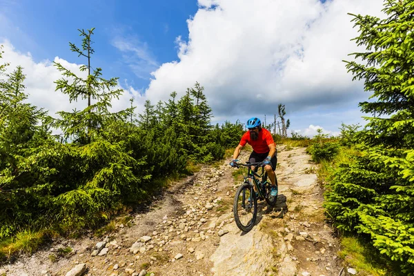 Cykling man ridande på cykel på sunset skogslandskap. — Stockfoto