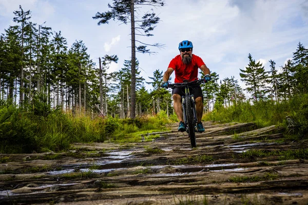 Cykling man ridande på cykel på sunset skogslandskap. — Stockfoto